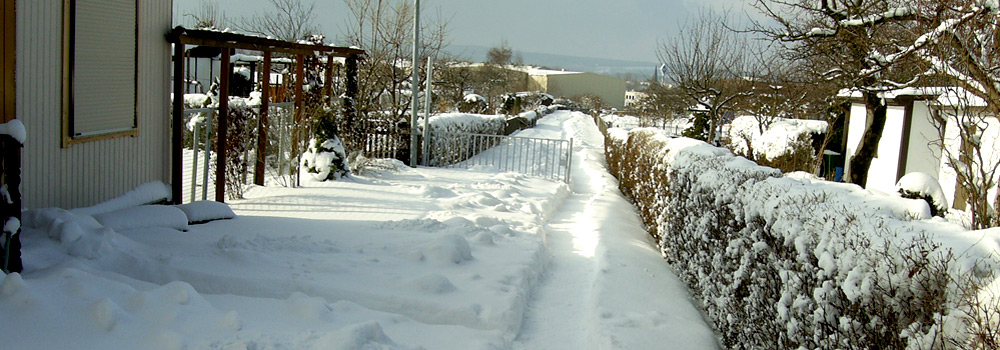 winterimpressionen