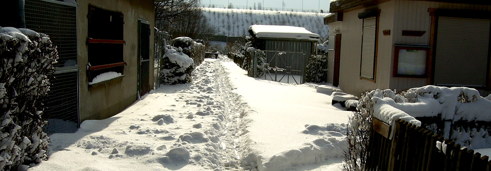 winterimpressionen