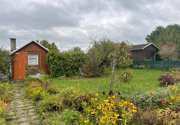 freier Garten