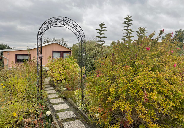 freier Garten