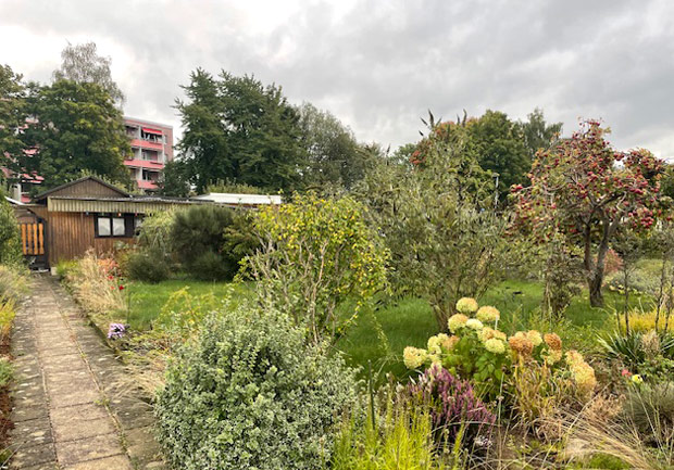 freier Garten